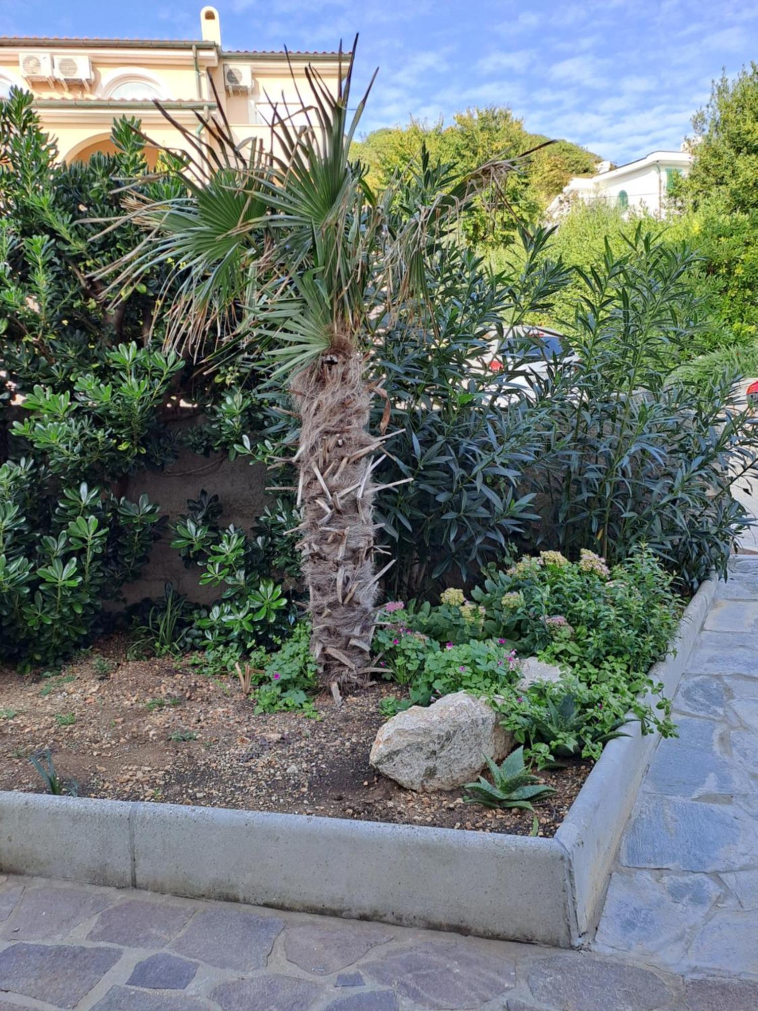 Apartment Kricin Baška Стая снимка